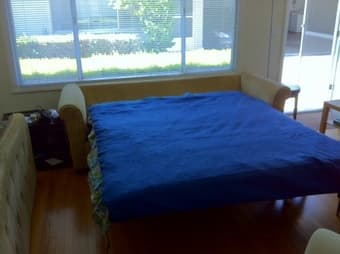 Pull-Out Couch w/ Queen Size Bed - $200 2