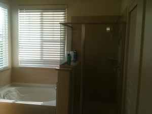 Half a (large) master suite in a shared house 2
