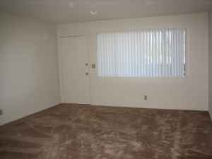 $1295 Lg Upstairs STUDIO, Move-In 10/01!! (mountain view) 3