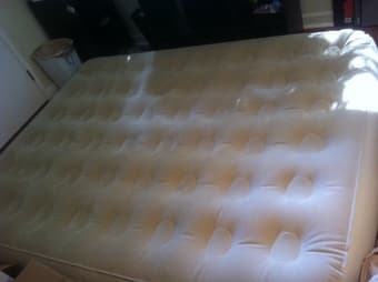 Air Bed for $20 1