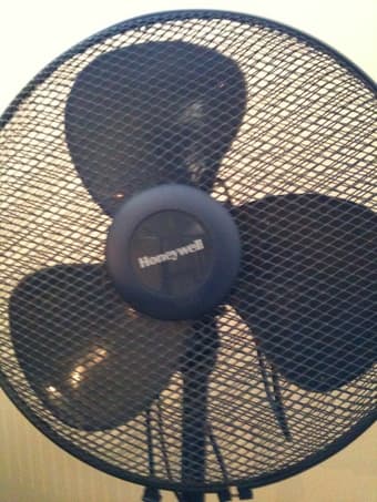 Floor Fan - $20 1