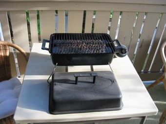 Portable Gas BBQ (Thermos Brand), $10 2