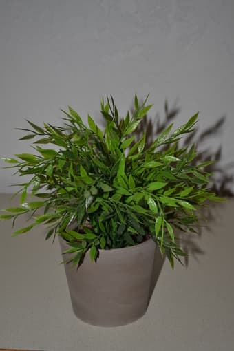 IKEA decorative plant with vase 2