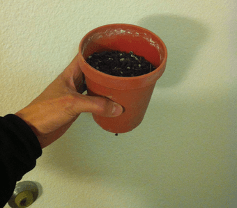 Planters (for plants) - FREE 1