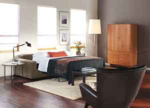 Queen Sleeper Sofa, $1550 (+ ottoman for extra $250) - $1550 (santa cl 2