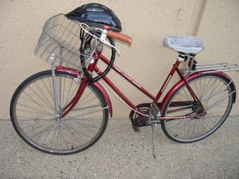 Selling Mountain Bike $120 because of moving 1