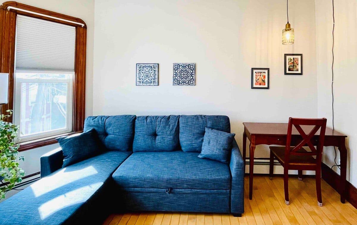 Airy Sunny Home. Large Space. Walk to Harvard 1