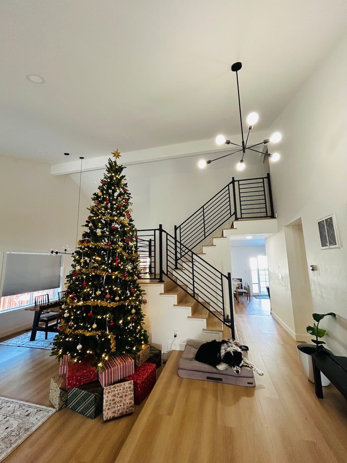Charming Room in South SJ | Free Coffee Included 1