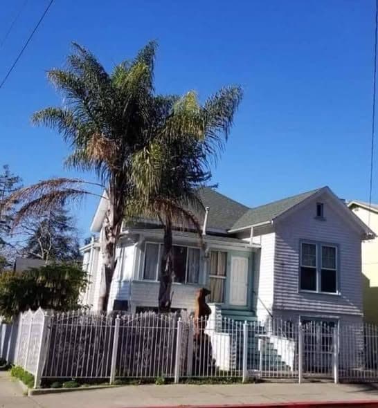 Furnished Private Room in Elmwood – Available January 1, 2027 1