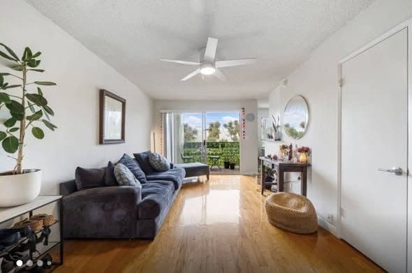 HOUSING OFFERED // OCEAN PARK, SANTA MONICA // October 8 - December 31st 1