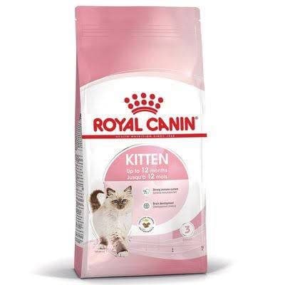 Ragdoll kitten food 1
