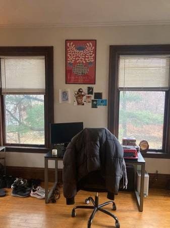 Two rooms available in 4 bedroom Brighton MA 3