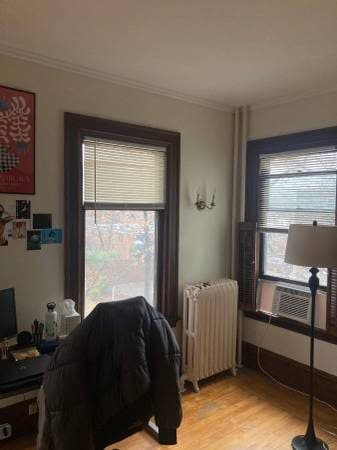 Two rooms available in 4 bedroom Brighton MA 2