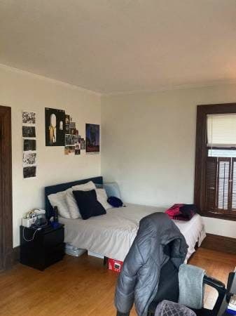 Two rooms available in 4 bedroom Brighton MA 1