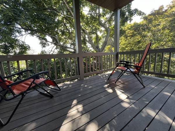 Sep-May Furnished Luxury in Somerville's Best Neighborhood 3