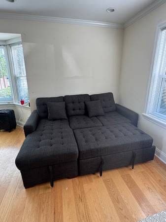 Bryn 2 Pc L shaped couch (no pet house) Gently used 1
