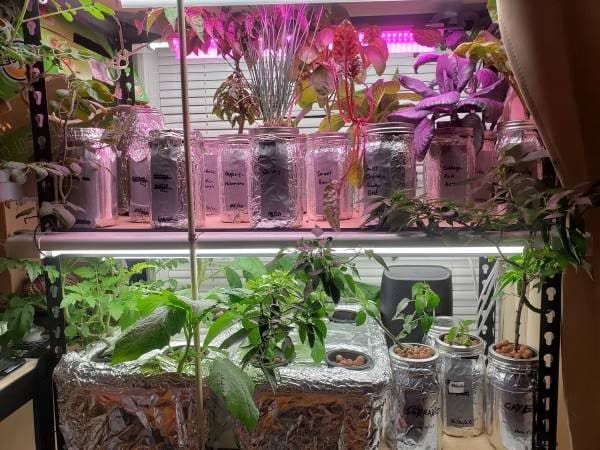 Indoor Hydroponic Grow Setup — Vegetables, Herbs & Microgreens Starter 1