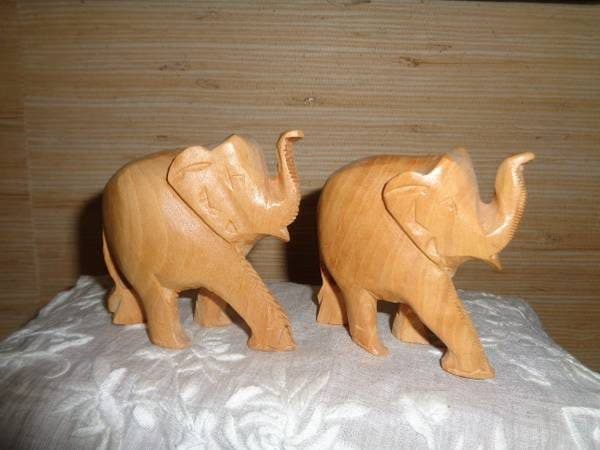 elephant ears/palm   SALE $50 3