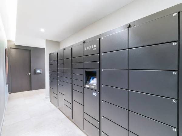 Gracious 737 sqft Apartment in Los Angeles 3