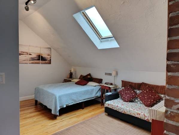 large bedroom in beautiful apt, ideal for Longwood, opposite to parks 1
