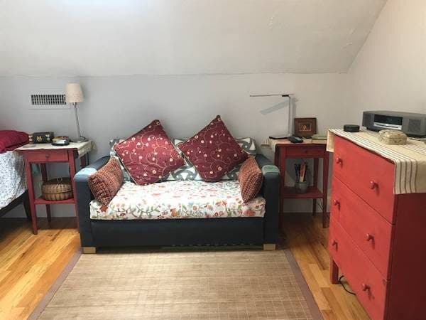large bedroom in beautiful apt, ideal for Longwood, opposite to parks 2