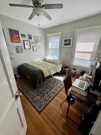 Room opening up in JP! 2 mins to Jamaica Pond (9/1) 1