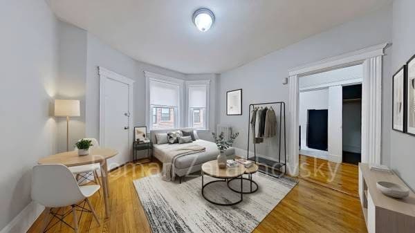 July/Aug - Gorgeous! Modern Studio in Allston with Walk-in Closet! 3