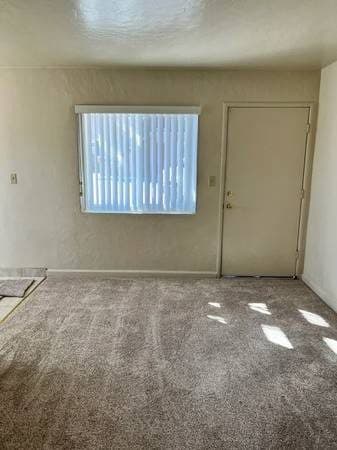 Beautiful 1 bed/1 bath apartment with new carpet 1