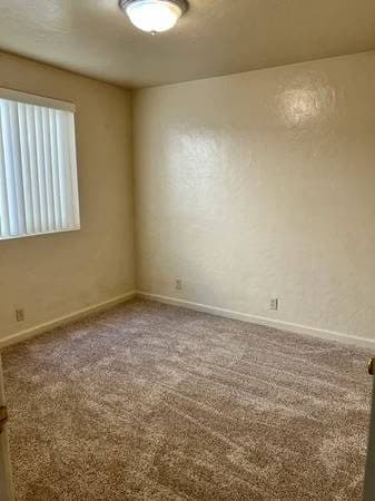 Beautiful 1 bed/1 bath apartment with new carpet 3