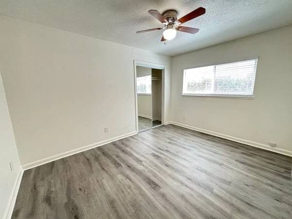 Gorgeous 2 bed / 1 bath! 800 Sq Ft! Must see! 3