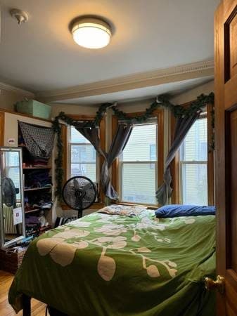 No fee 950/1br-1200ft-BU, BC,no fee-5 min walk to 57, 66, 86, 501 bus stops, nea 1
