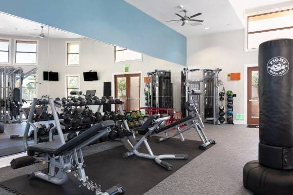 TMLP 11-mo. | Fitness Center, Elevator 1