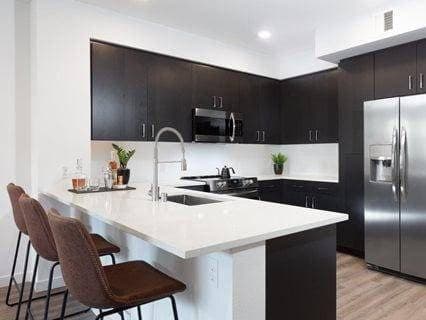 TMLP 13-mo. | Gooseneck Faucets, Gourmet Kitchens, Quartz Countertops 3