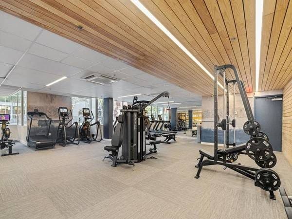 TMLP 13-mo. | Live Where the Beach, Style, and Convenience Come Together 3