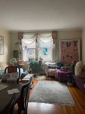 Sunny private bedroom in Brookline apartment 3