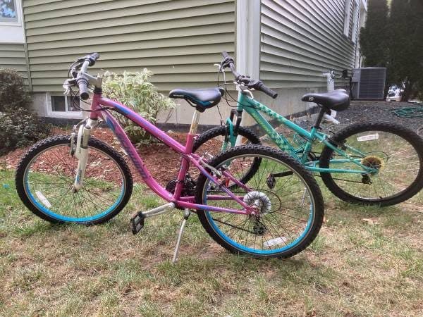Free girls bikes and wagon - curbside pick up 1