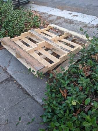Two free pallets 1