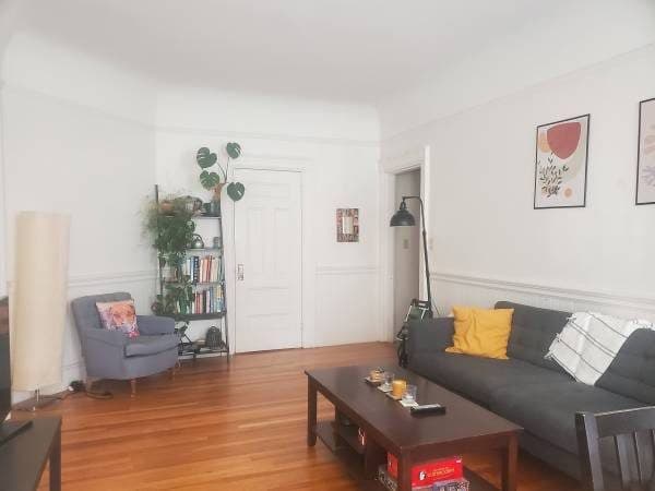 Join my sunny 2-bed Harvard Square Apartment! 1