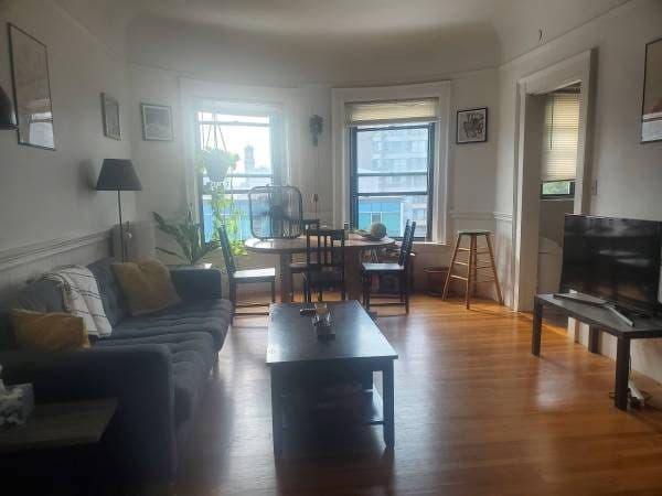 Join my sunny 2-bed Harvard Square Apartment! 2