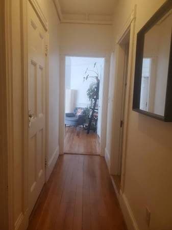 Join my sunny 2-bed Harvard Square Apartment! 3