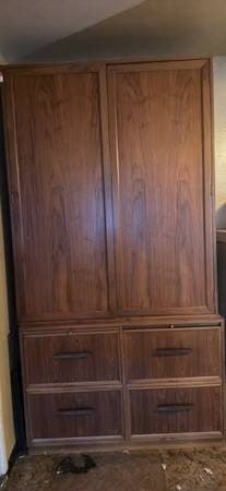 Stunning custom-made teak, music cabinets 1