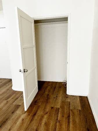LARGE STUDIO -- FENCED GARDEN (shared) -- HOT LOCATION -- DOGS OK! 3