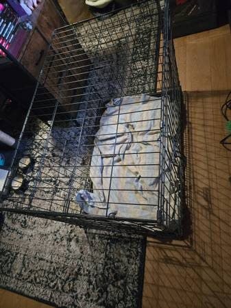 Medium Dog Crate 1