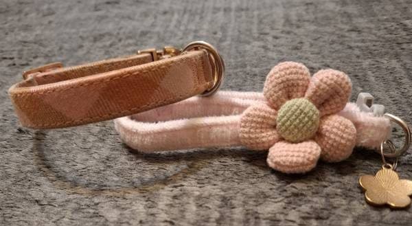 Dog Collars (for small dog) 1