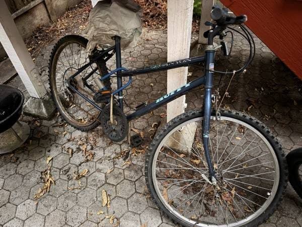 Mongoose bicycle 1