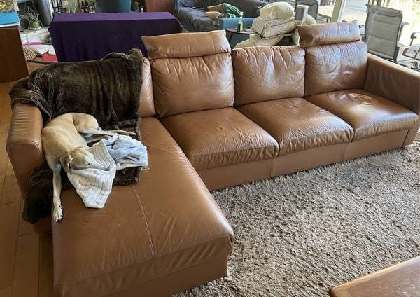 Leatherette Couch, Camel Brown, Storage Chase (IKEA FINNALA) 1