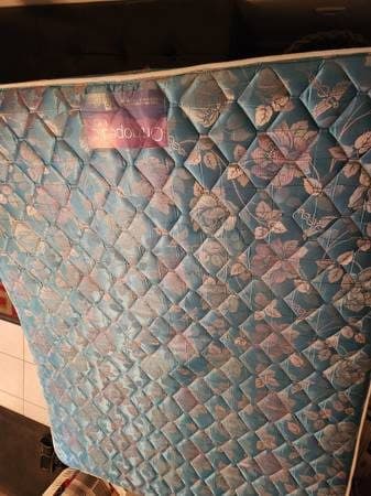 decent queen size mattress looking for home 1