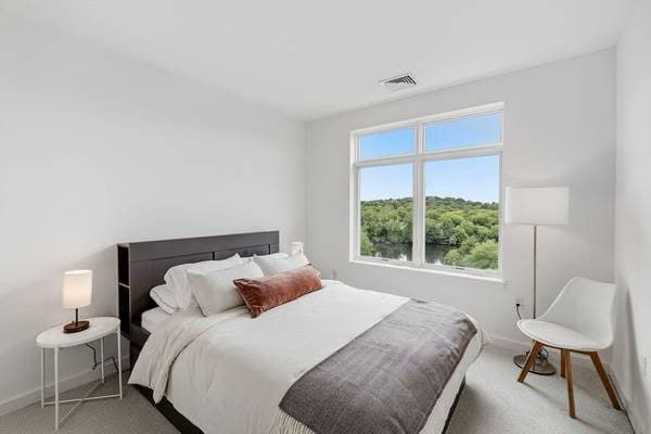 1-bed 1-bath sublet mid to end Sept until.2027 sublet in Lower Allston 1