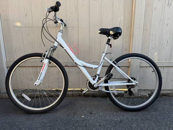 Nishiki Women's Tamarack Comfort Bike 1