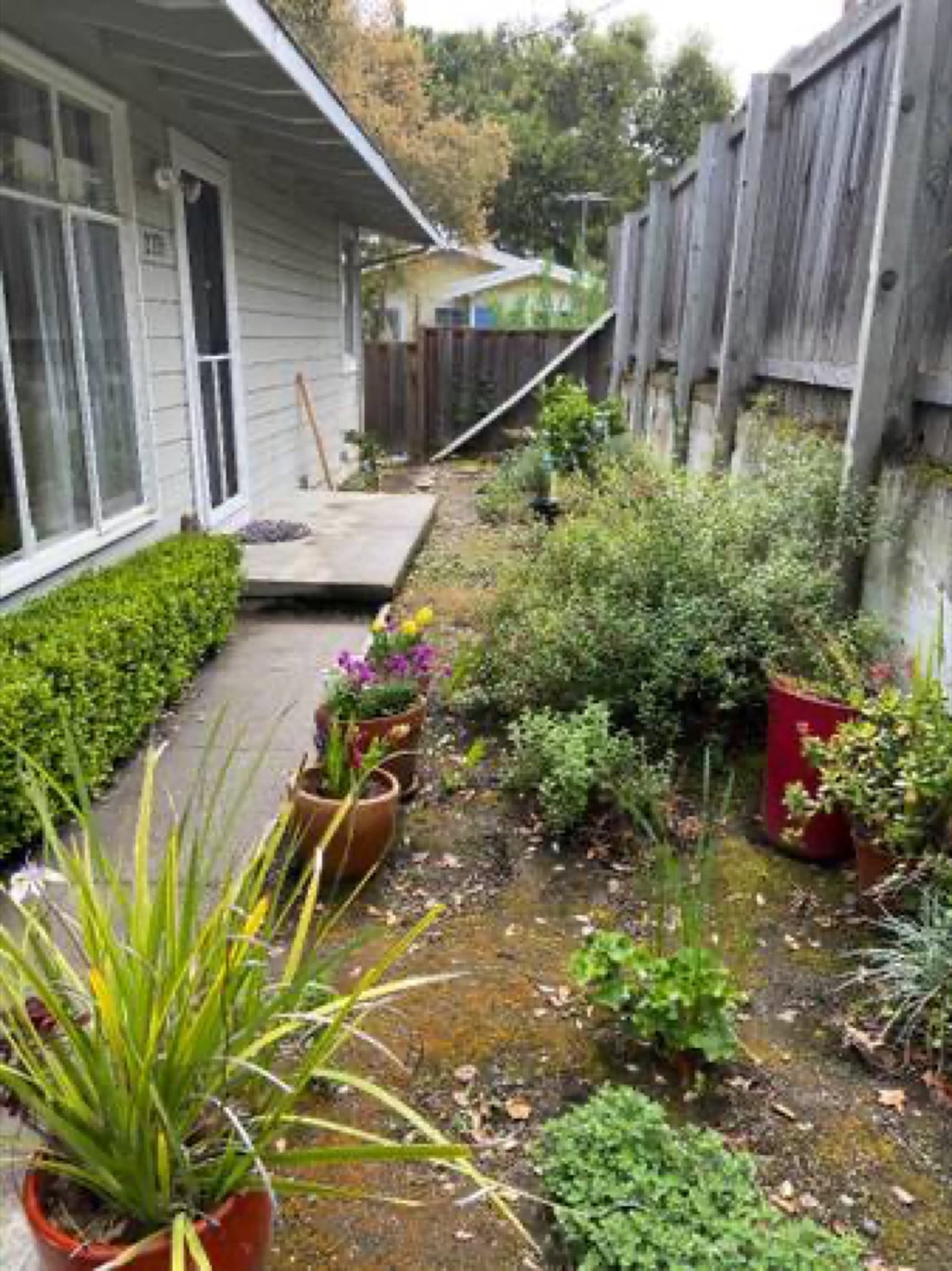 Palo Alto - College Terrace 3BA / 2BA 1035sf 1